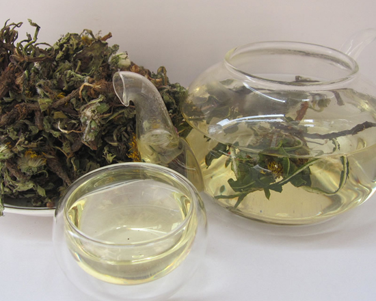蒲公英茶－蒲公英茶的感化与功能－春季喝蒲公英茶的益处