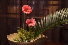 茶饰摆件--茶馆茶社的花卉摆放体例