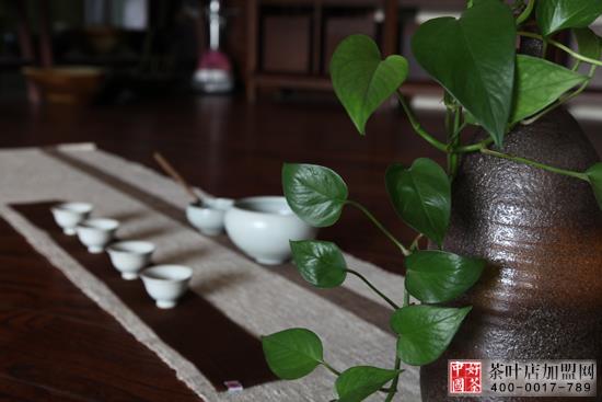 茶饰摆件--茶馆茶社的花卉摆放体例--茶艺花卉动物完善的连系2