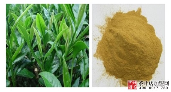 茶多酚的保健功能，中国茶叶店加盟网