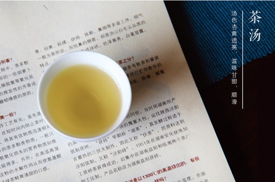 福鼎原产地白茶-白茶品牌保藏系列-白茶茶汤色彩图片