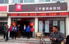 滨州茶叶店加盟 |品牌茶叶连锁专业保障利润
