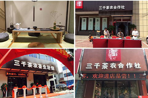 茶叶店疾速赢利体例_茶叶店运营办理体例