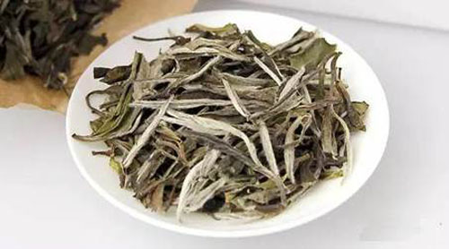 白茶牡丹茶